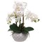2-Pack 19" White Phalaenopsis Orchid Flowers in Dimple Ceramic Pots – Realistic Silk Orchid Arrangement – Elegant Faux Plant Decor for Home & Office